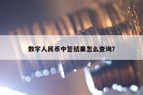 数字人民币中签结果怎么查询？