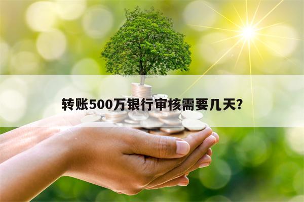 转账500万银行审核需要几天？