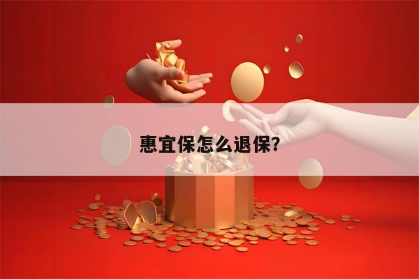 惠宜保怎么退保？