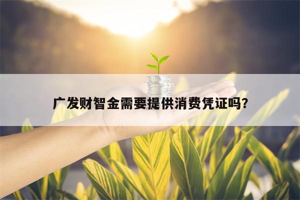广发财智金需要提供消费凭证吗？