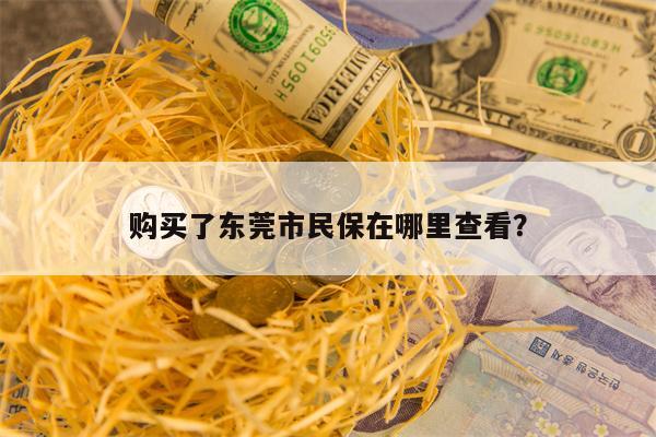 购买了东莞市民保在哪里查看？