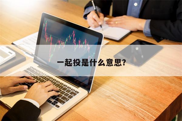 一起投是什么意思？