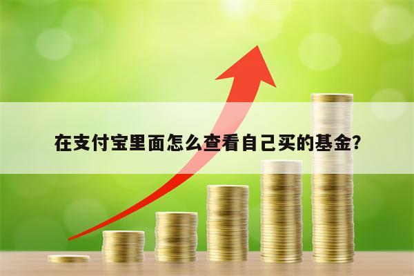 在支付宝里面怎么查看自己买的基金？