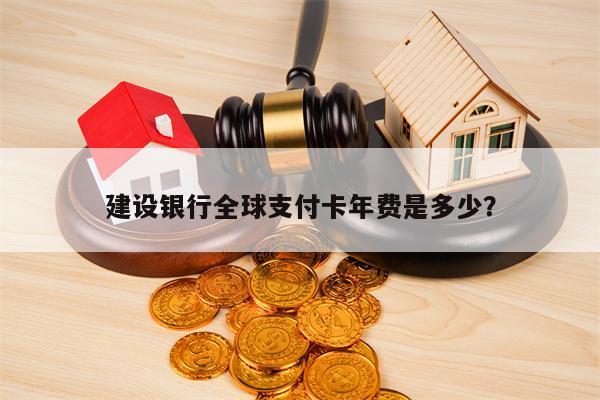 建设银行全球支付卡年费是多少？