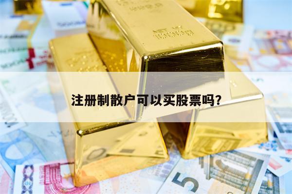 注册制散户可以买股票吗？