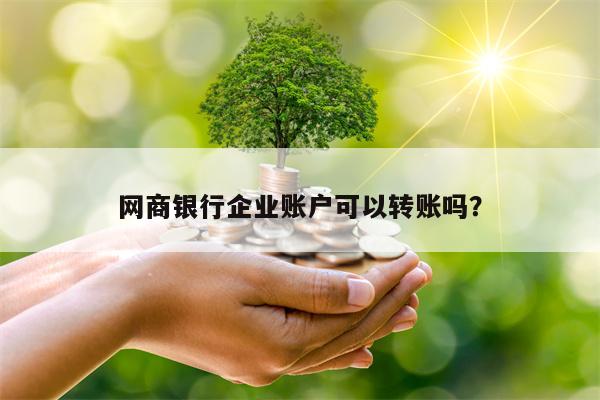 网商银行企业账户可以转账吗？