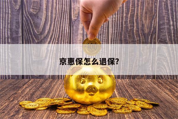 京惠保怎么退保？