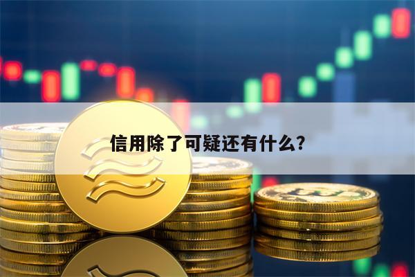 信用除了可疑还有什么？