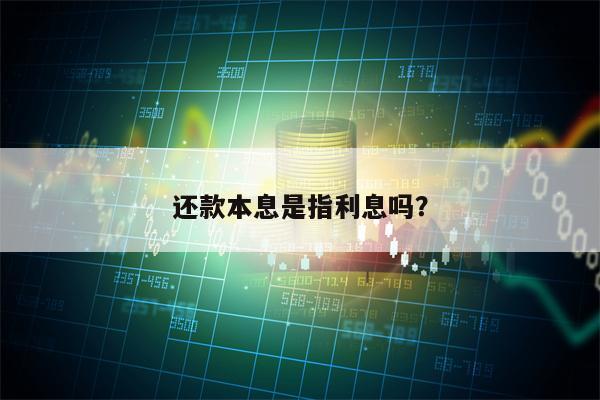 还款本息是指利息吗？