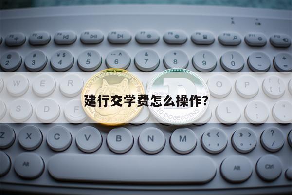 建行交学费怎么操作？