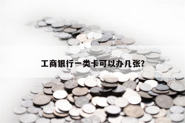 工商银行一类卡可以办几张？