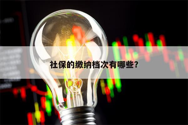 社保的缴纳档次有哪些？