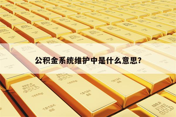 公积金系统维护中是什么意思？
