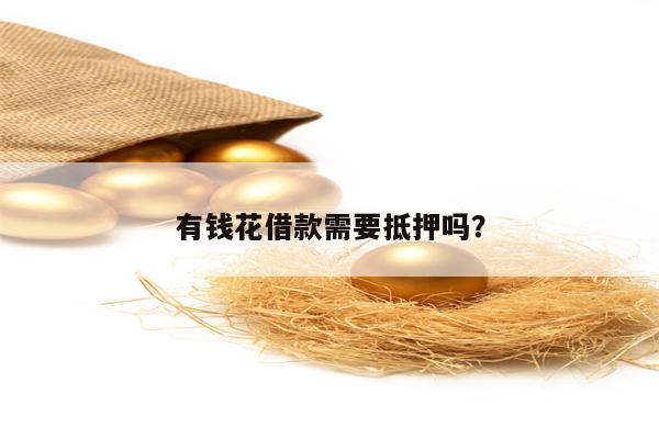 有钱花借款需要抵押吗？