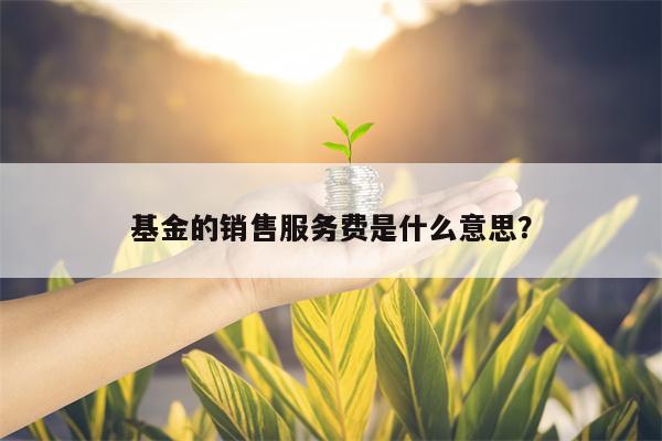 基金的销售服务费是什么意思？