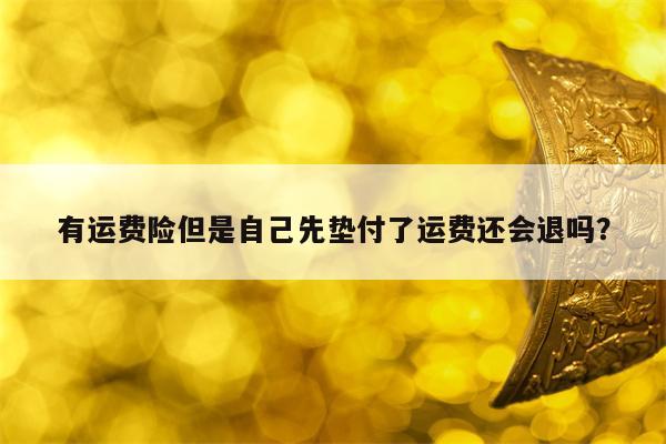 有运费险但是自己先垫付了运费还会退吗？