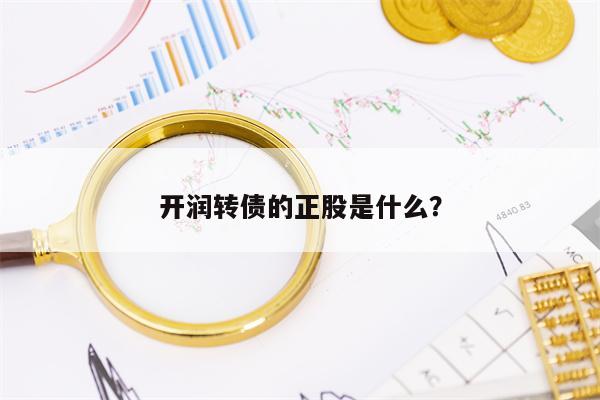 开润转债的正股是什么？