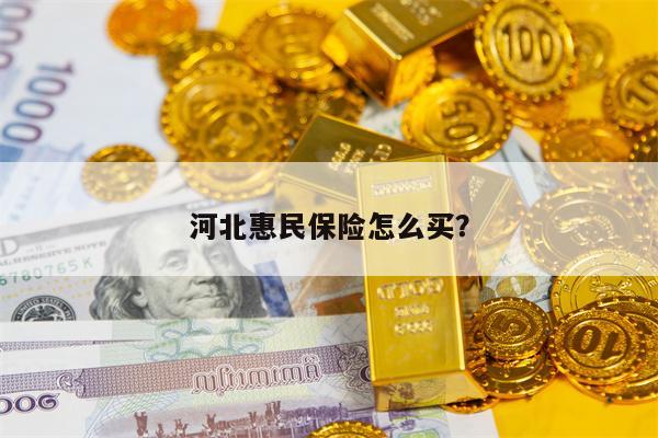 河北惠民保险怎么买？